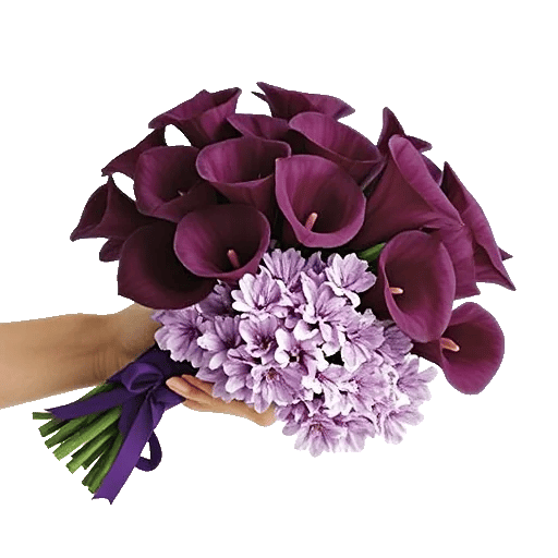 Elegant Calla Lilies