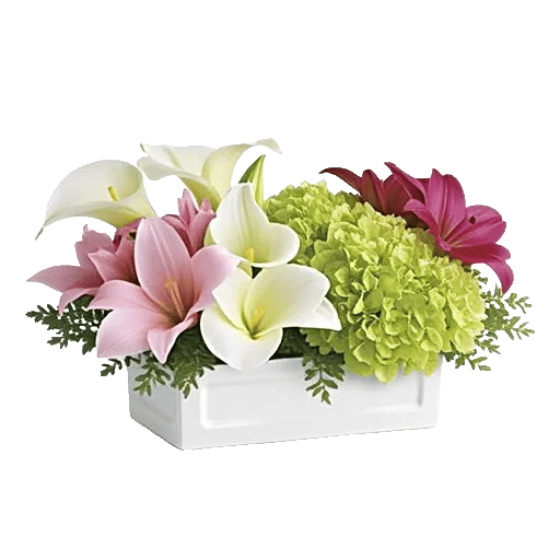 Graceful Lily Display