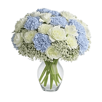 Ivory Blossom Radiance