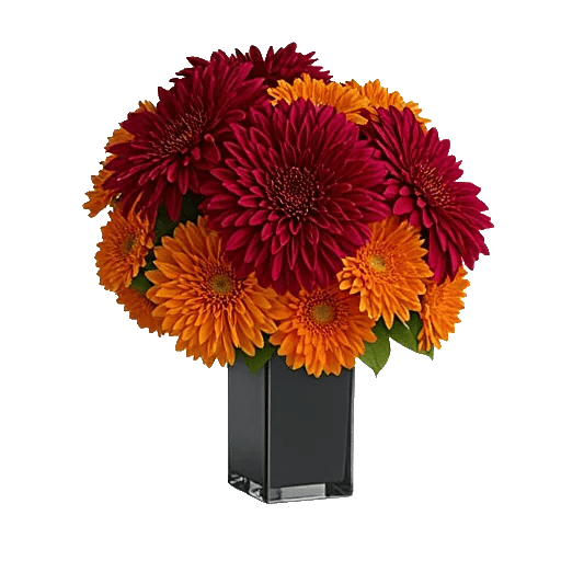 Crimson Blossom Harmony