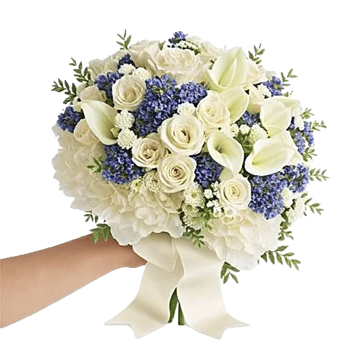 Ivory Garden Grace
