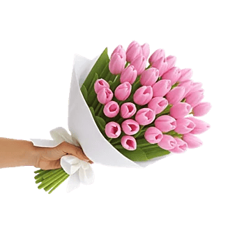 Blossom Harmony Display