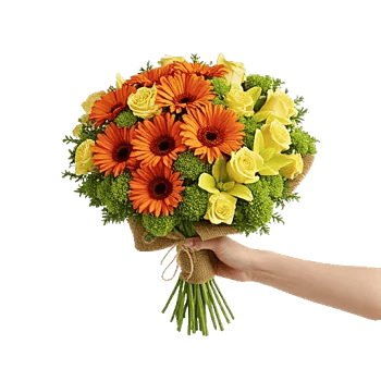 Petal Harmony Bliss