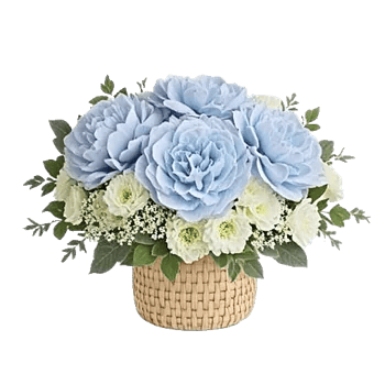 Serene Petal Harmony