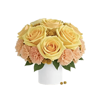 Petal Radiance Bliss