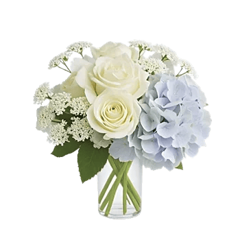 Ivory Blossom Radiance