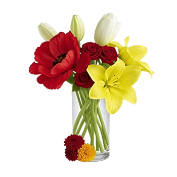 Petal Radiance Bliss