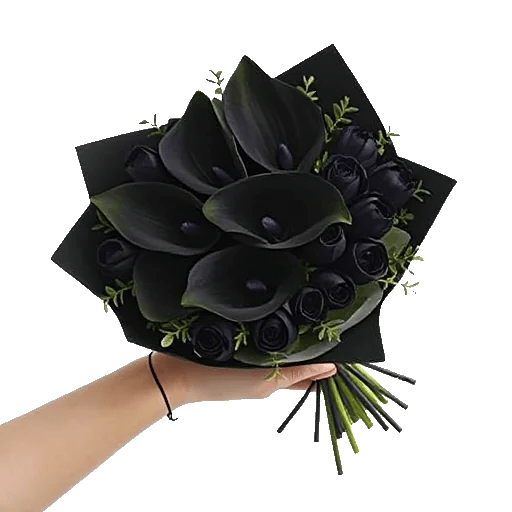 Elegant Calla Lilies