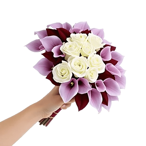 Elegant Calla Lilies