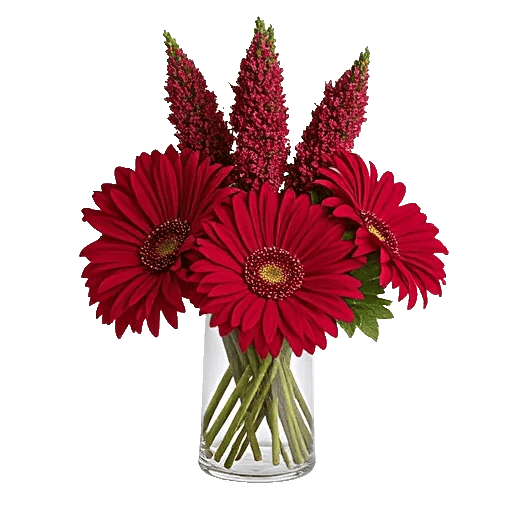 Crimson Blossom Harmony