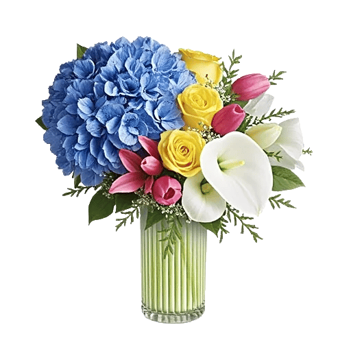 Azure Sky Blooms