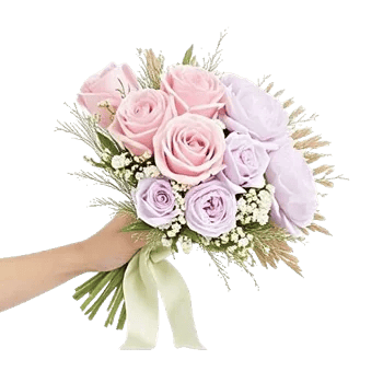 Pastel Pink Roses