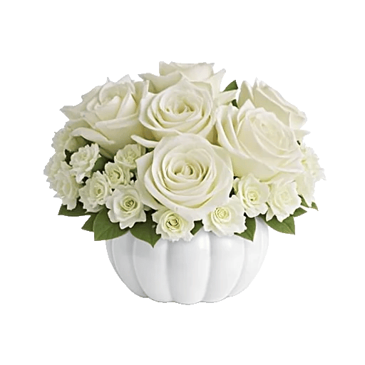 Modern White Orchids