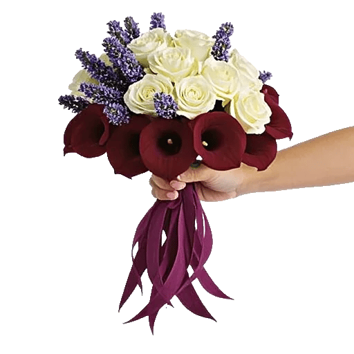 Elegant Calla Lilies