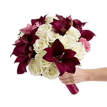 Blushing Rose Symphony