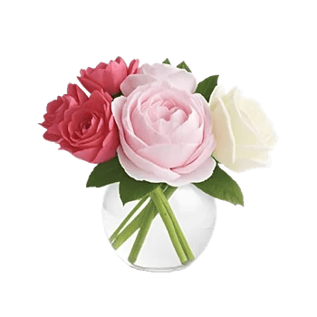 Petal Radiance Bliss