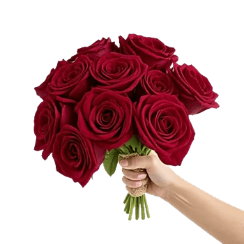 Crimson Rose Elegance