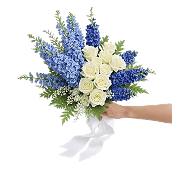 Serenity Blossom Grace