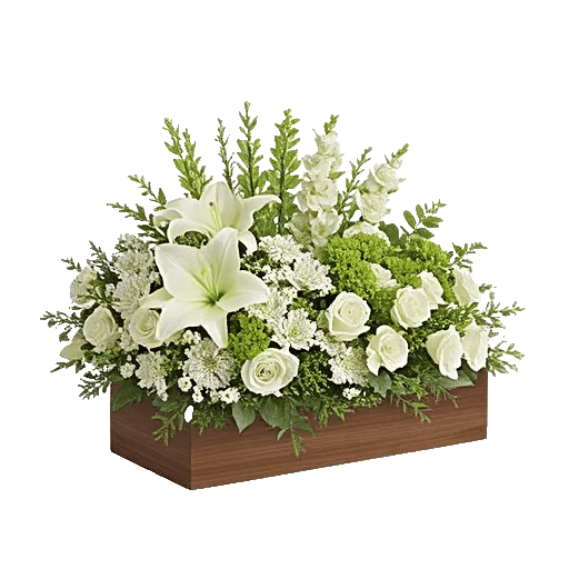 Ivory Blossom Radiance