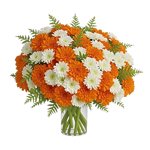 Petal Radiance Bliss