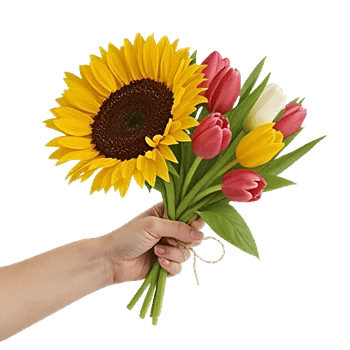 Twinkling Sunflower Dance