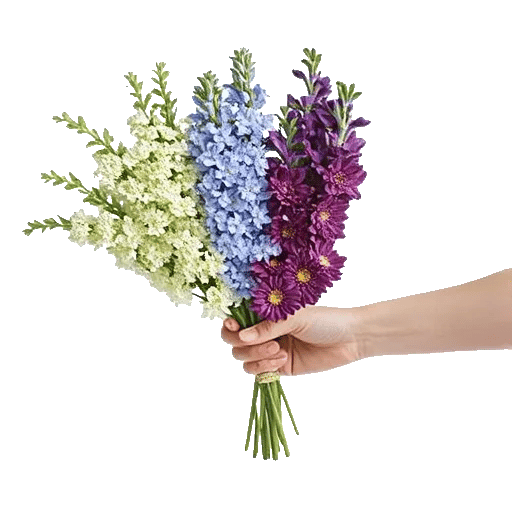 Delicate Petal Cascade