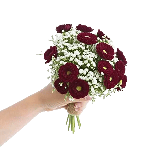 Elegant Calla Lilies