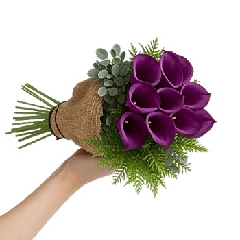 Elegant Calla Lilies