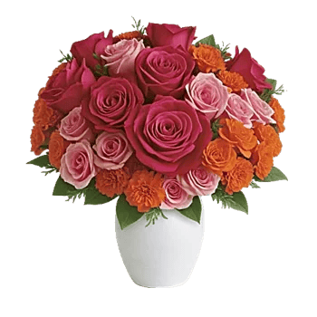 Radiant Rose Symphony