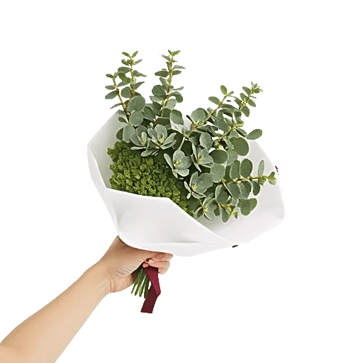 Emerald Leaf Harmony