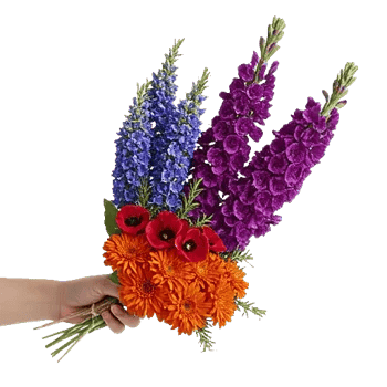 Rosemary Bloom Elegance