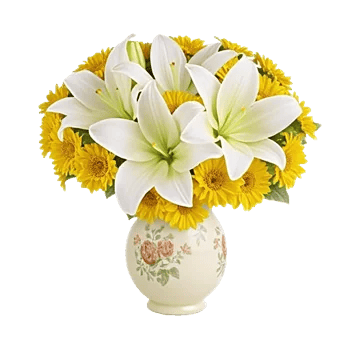 Ivory Blossom Radiance