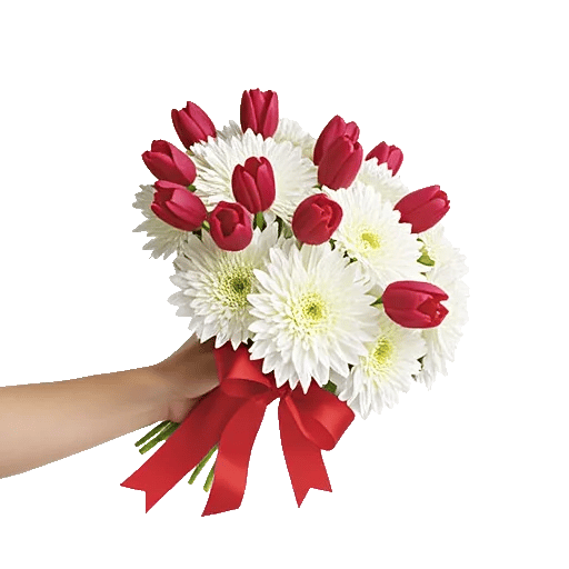 Scarlet Tulip Splendor