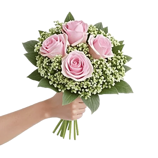 Pastel Pink Roses