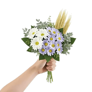Daisy Meadow Spread