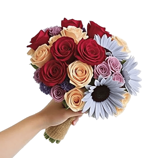 Blushing Rose Symphony