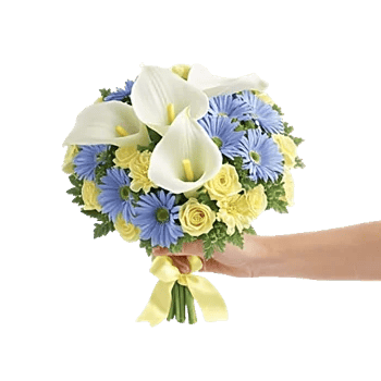 Elegant Calla Lilies