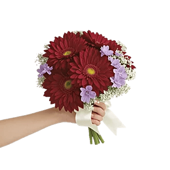 Crimson Blossom Harmony