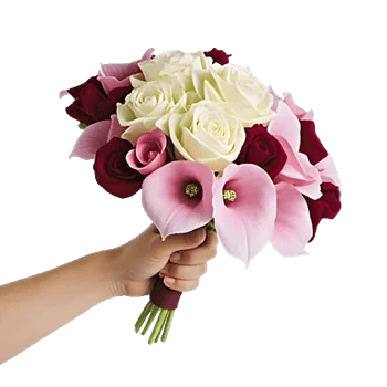 Elegant Calla Lilies