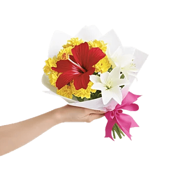 Blushing Rose Symphony