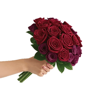 Crimson Rose Elegance