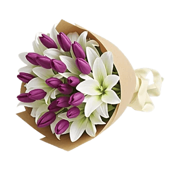 Velvet Tulip Display