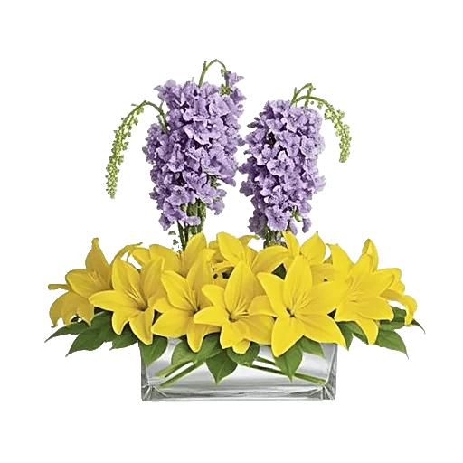 Graceful Lily Display