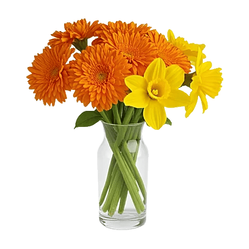 Vibrant Orange Delight