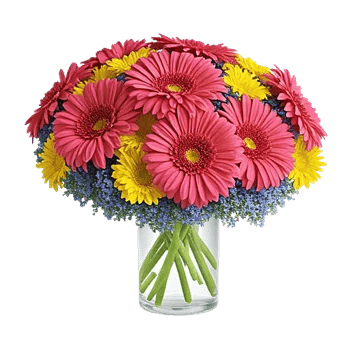 Petal Radiance Bliss