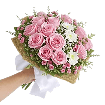 Blushing Rose Symphony