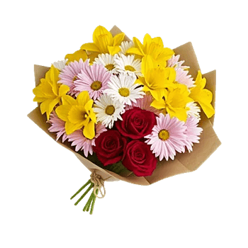 Blossom Harmony Display