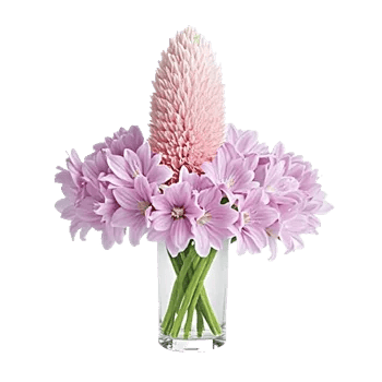 Petal Radiance Bliss