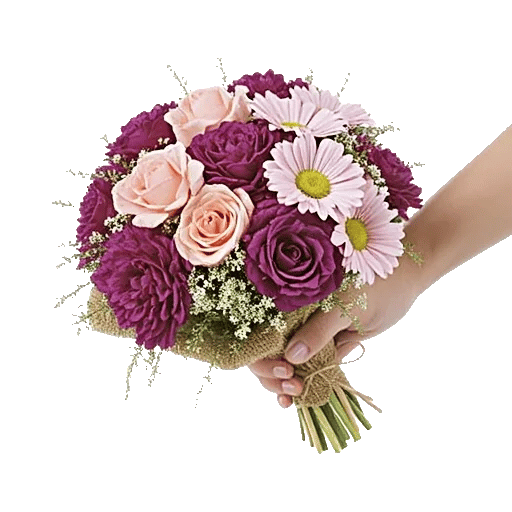 Pastel Pink Roses
