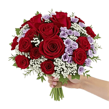 Crimson Rose Elegance